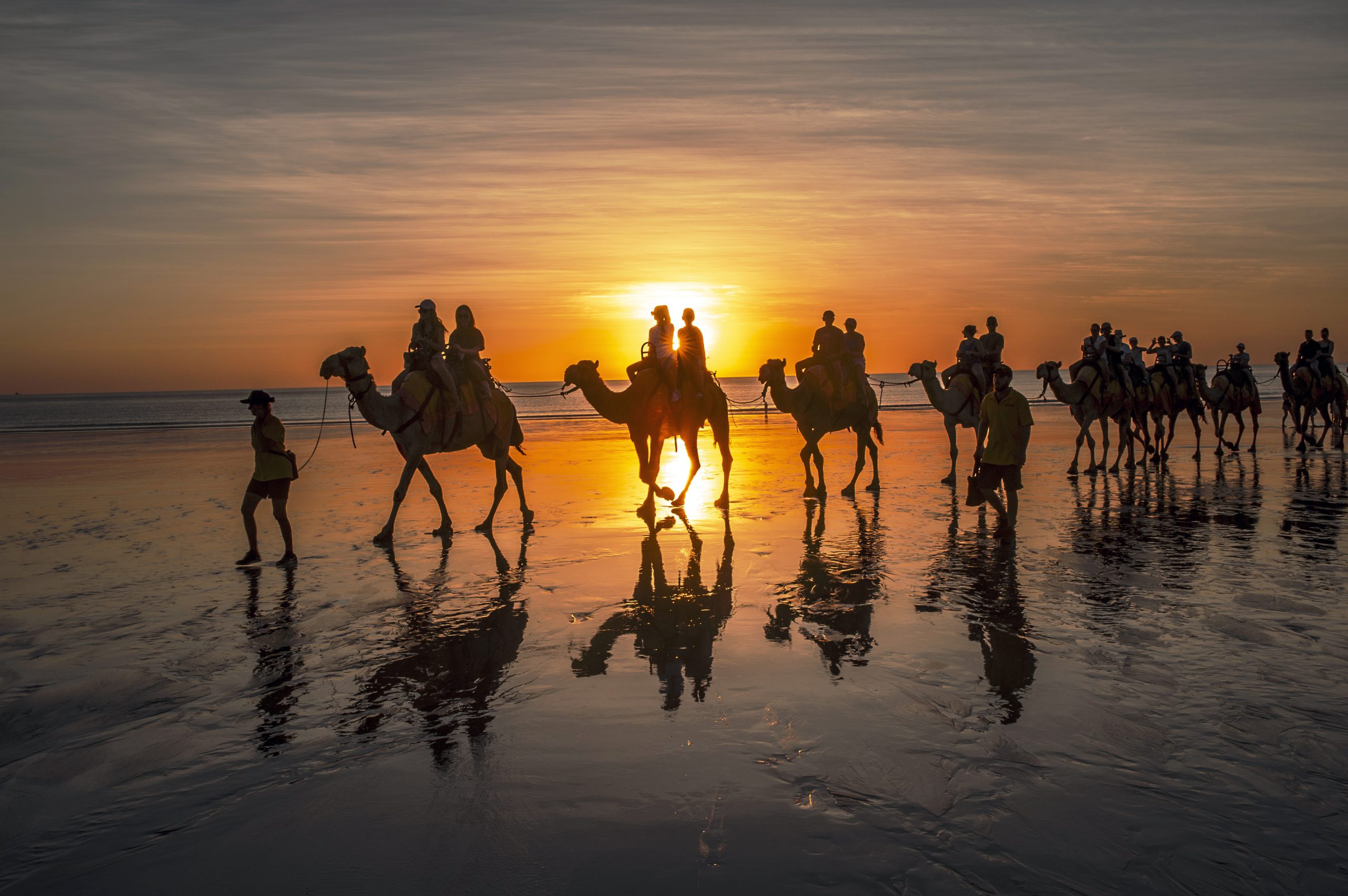 wielbłądy na plaży o zachodzie slońca